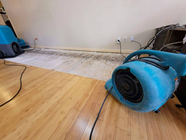 Professional Sewage Cleanup technician working in Berne, NY
